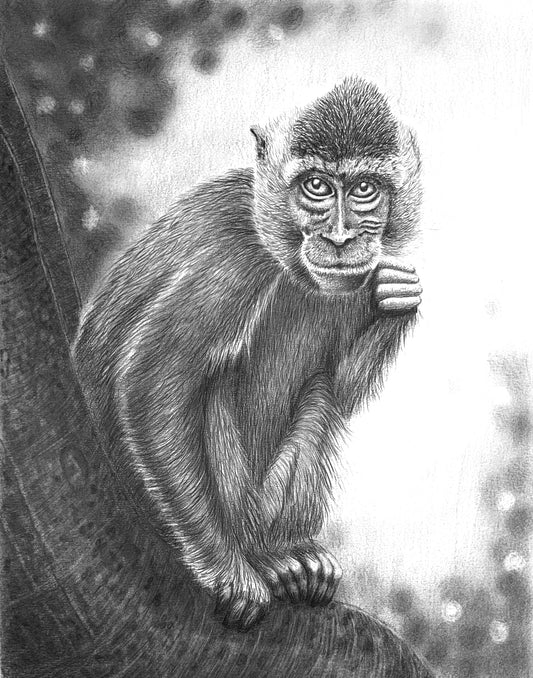 Thinking Monkey print