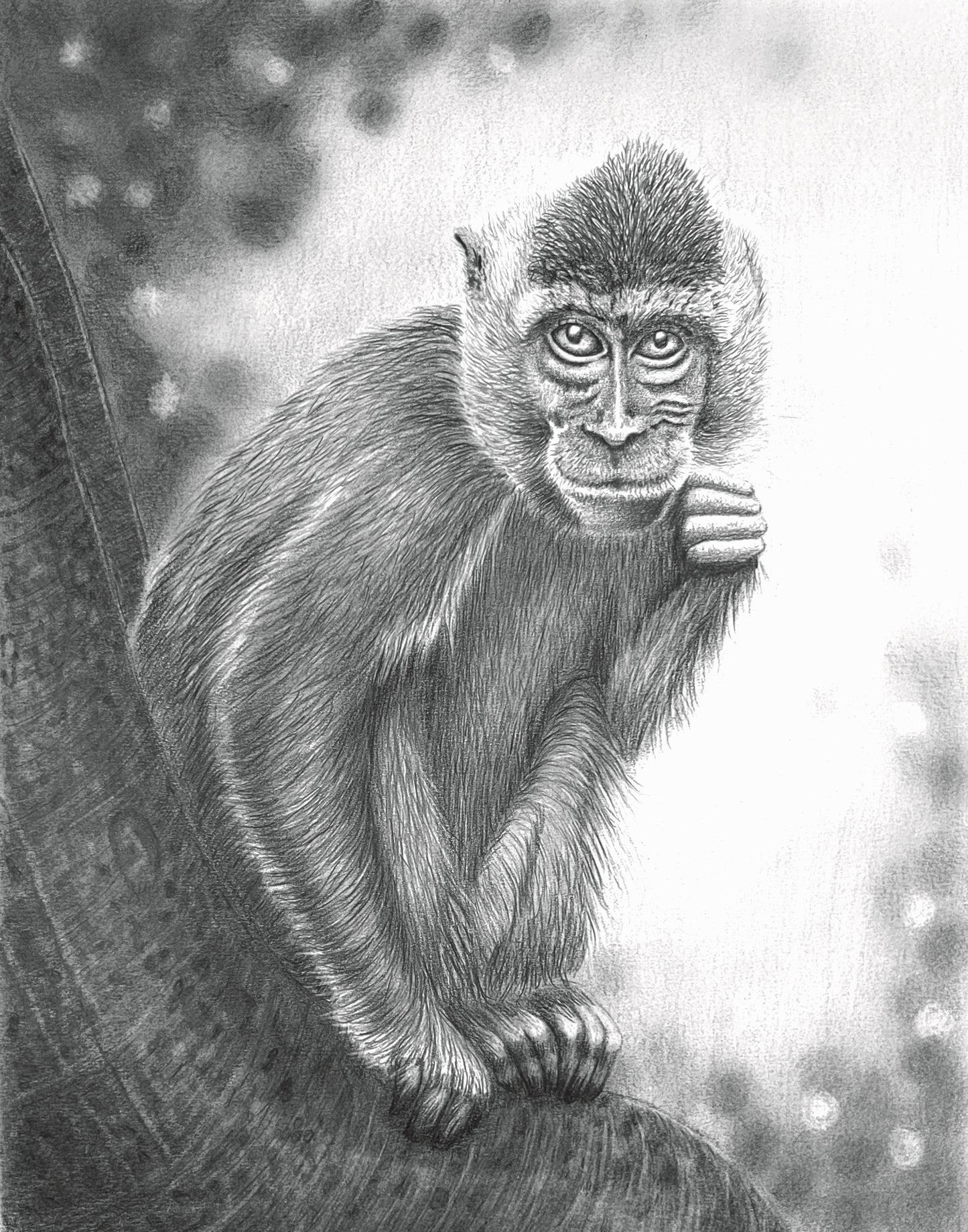 Thinking Monkey Original