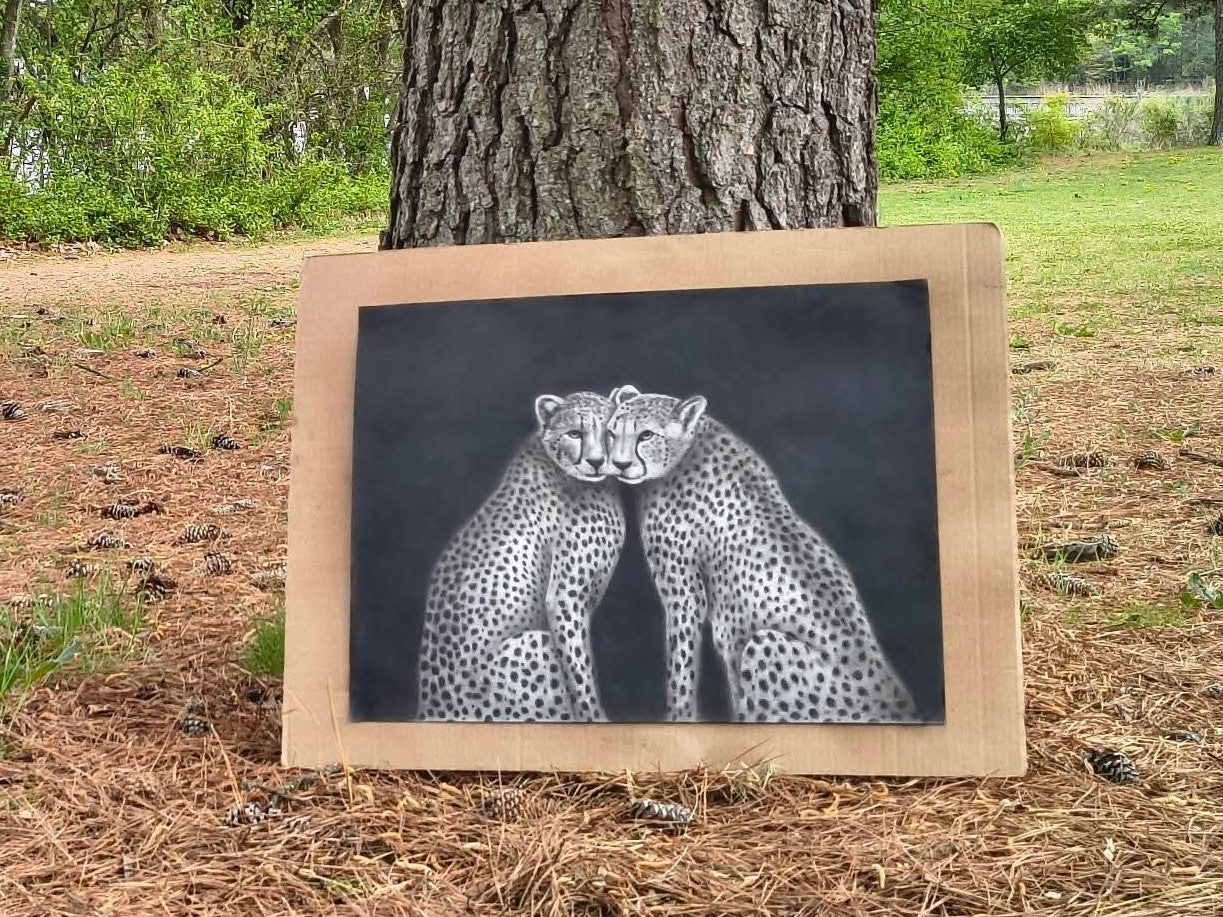The Cheetah’s